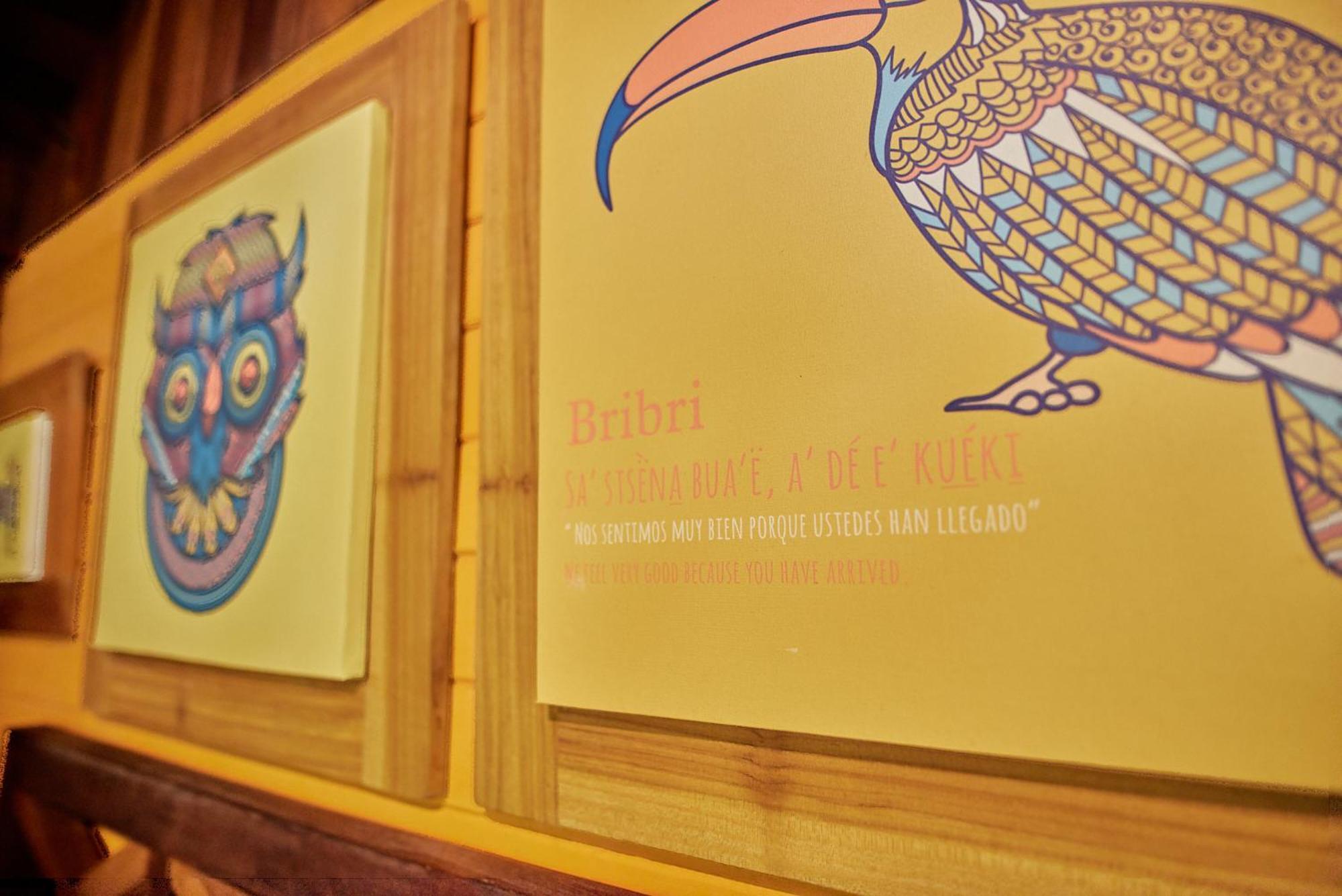 Cariblue Beach And Jungle Resort Puerto Viejo de Talamanca 部屋 写真