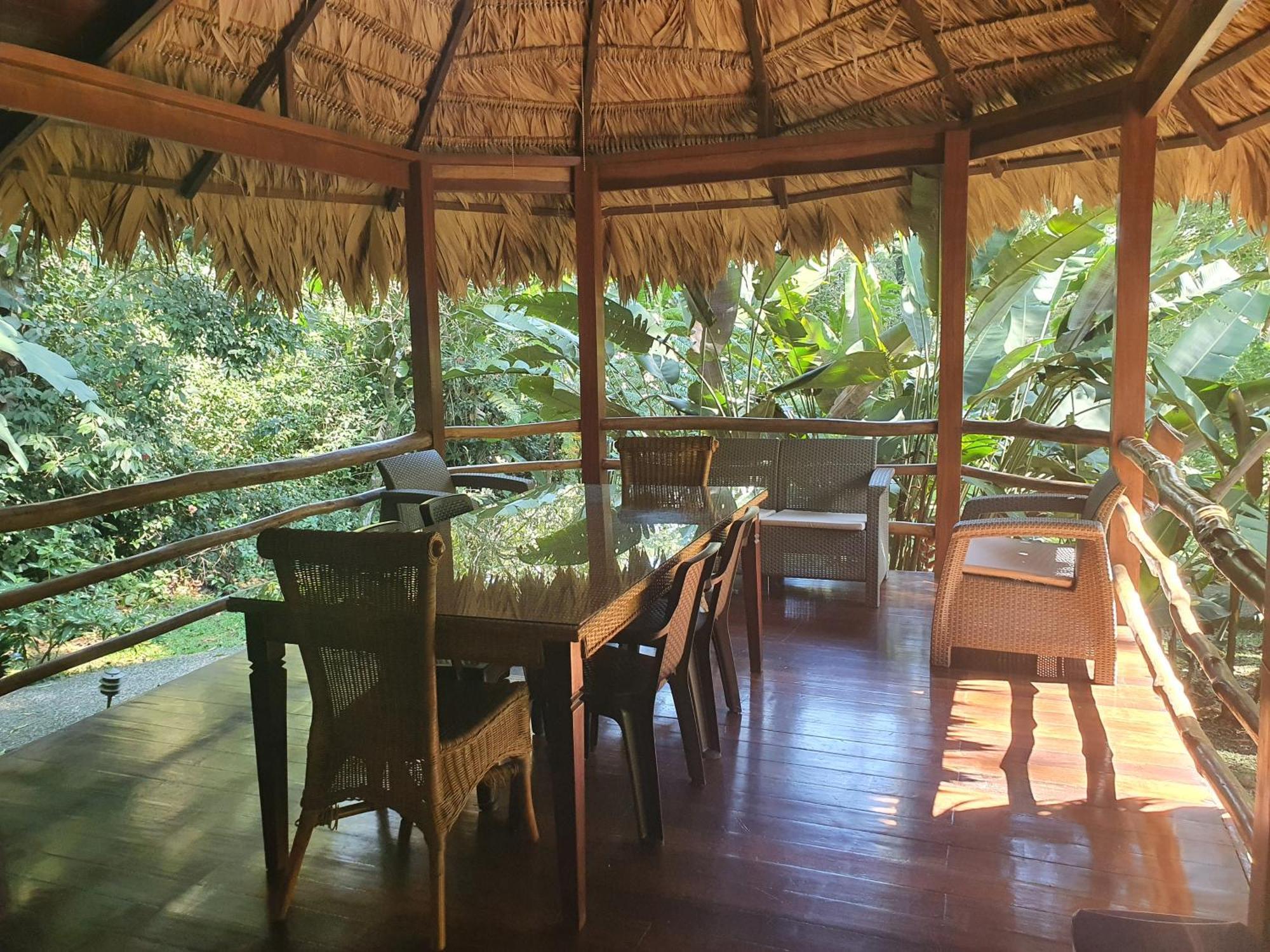 Cariblue Beach And Jungle Resort Puerto Viejo de Talamanca 部屋 写真